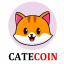 1B-CATE