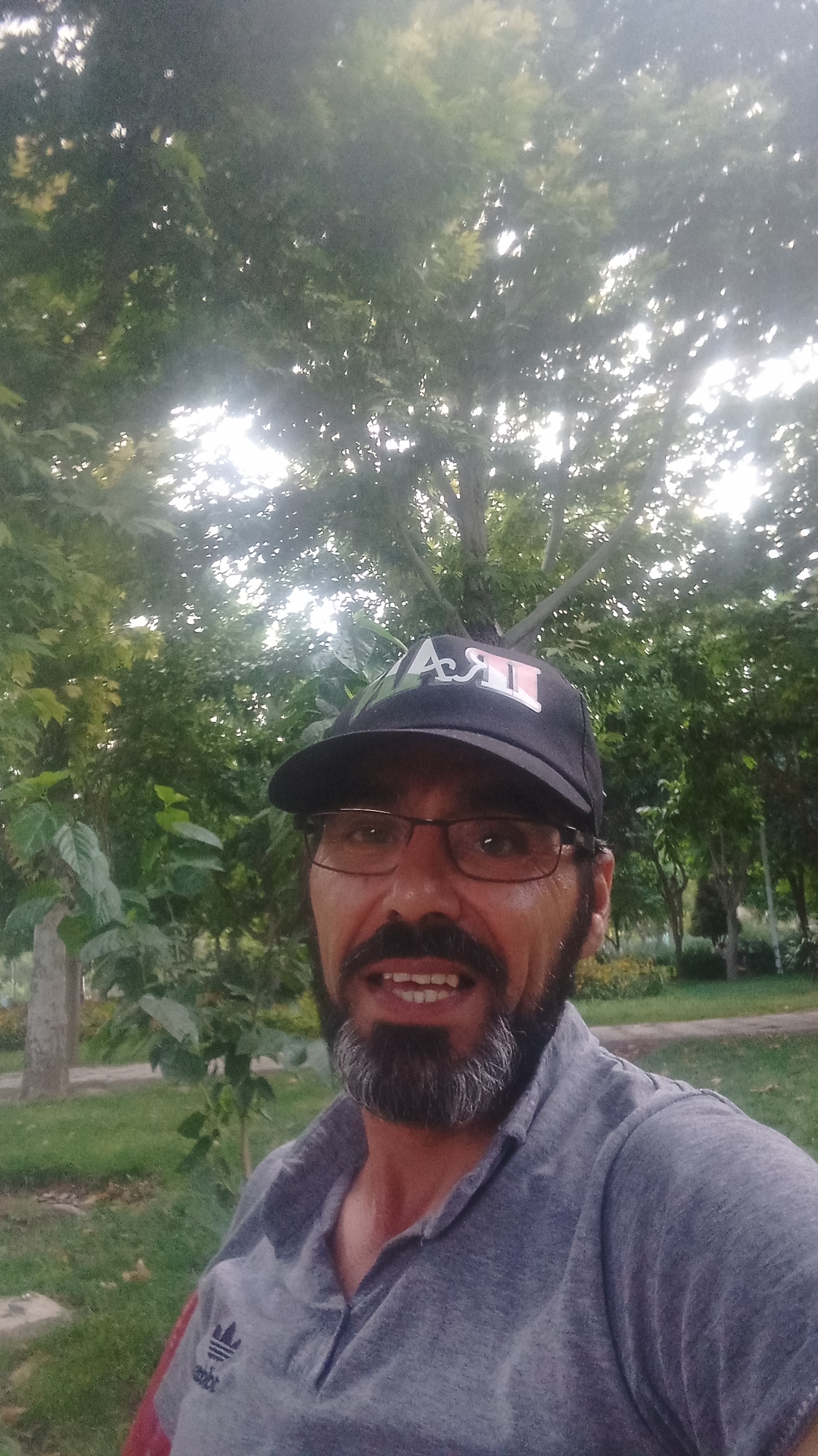 09156425048